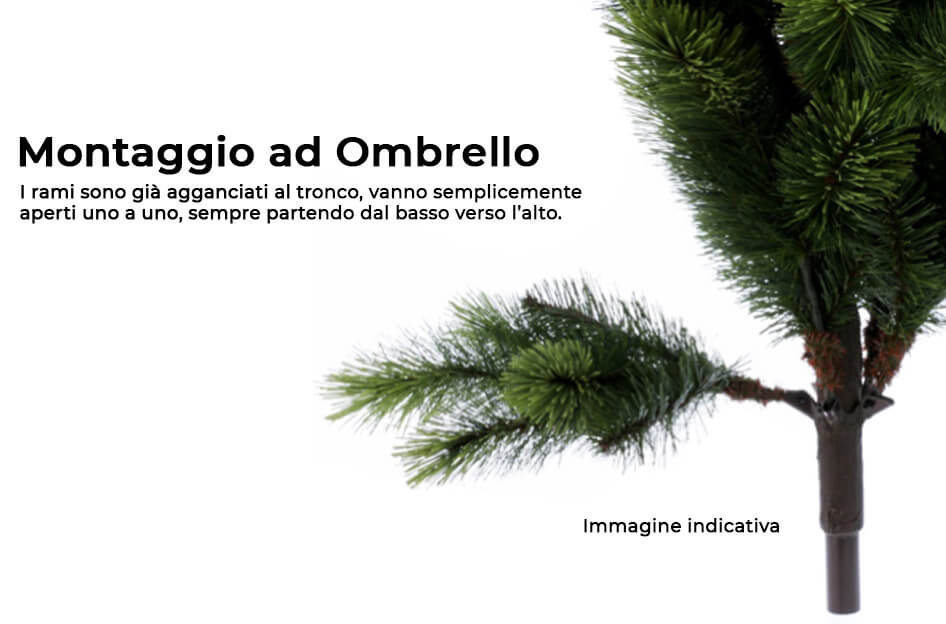 Immagine prodotto 3