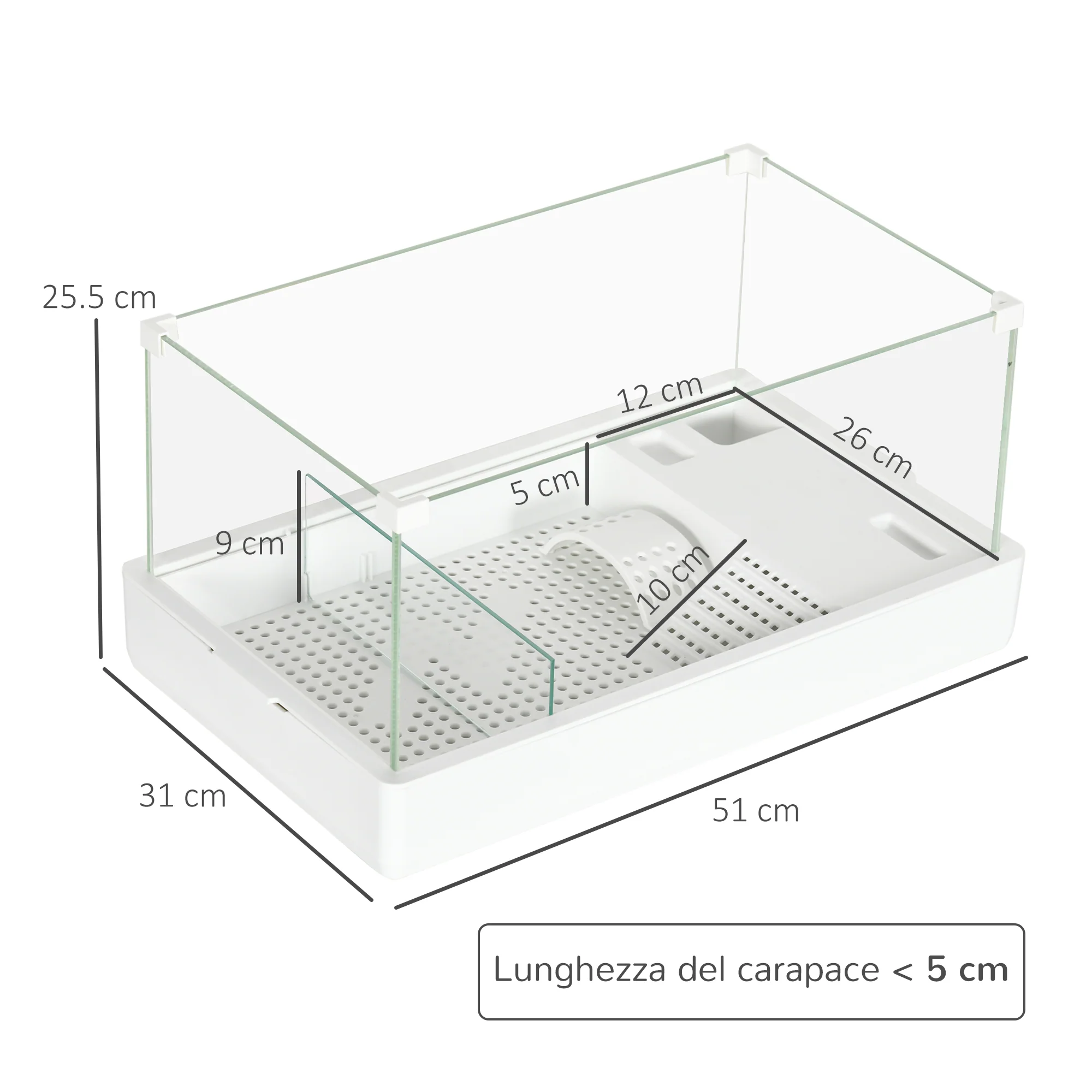 Immagine prodotto 3